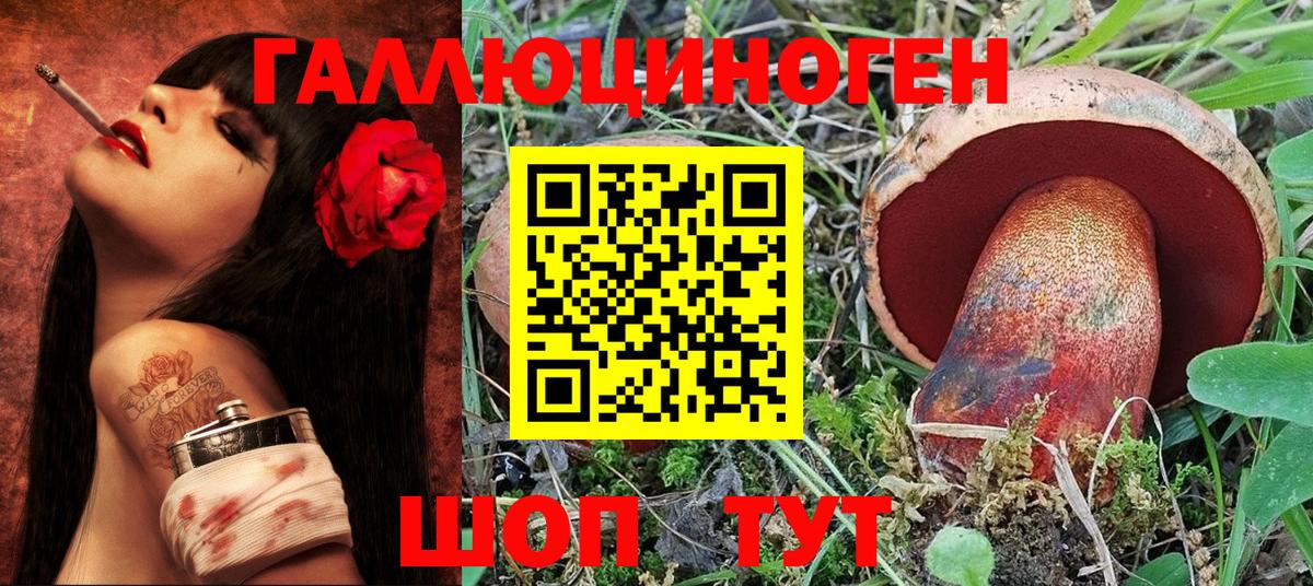 Псилоцибиновые грибы Magic Shrooms  Галлюциногенные грибы GOLDEN TEACHER  Вход с VPN  Камышлов 