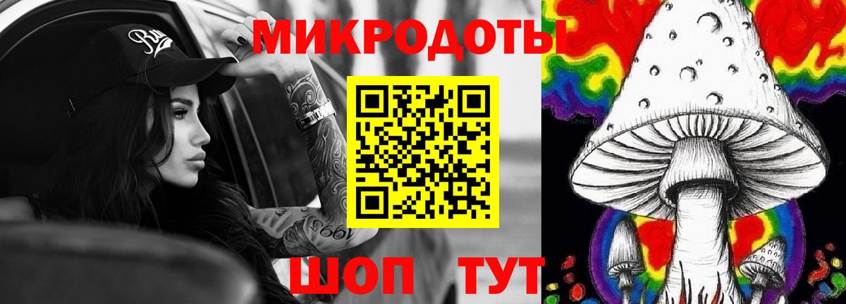 Псилоцибиновые грибы мицелий Камышлов